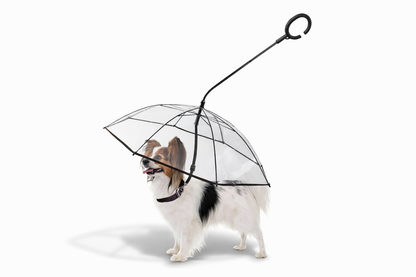 Parapluie pour chien