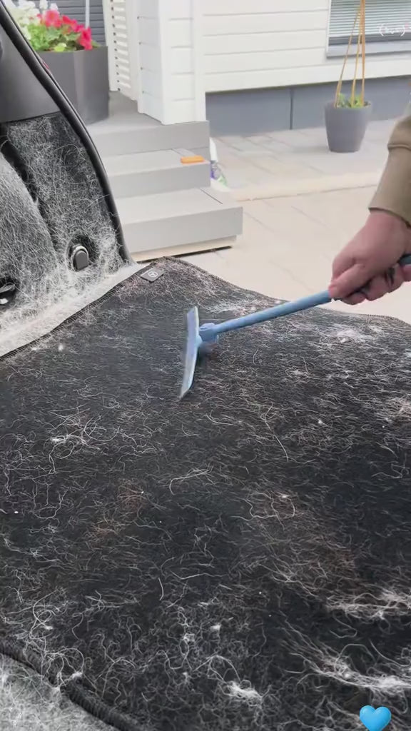 Charger la vidéo : 